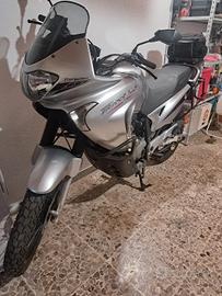 honda transalp 