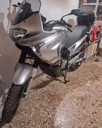 honda transalp 