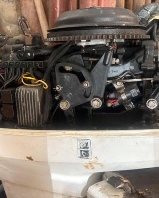 Motore Johnson 40 cv 2 tempi