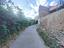 Immagine 7