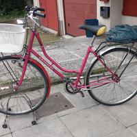 bici con cestino pronta uso