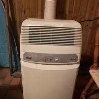 Condizionatore o ventilatore pinguino delonghi