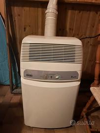 Condizionatore o ventilatore pinguino delonghi