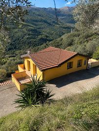 Villino con quattro appartamenti indipendenti