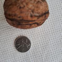MICRO MONETA 50 LIRE