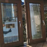 finestre in pvc tinta noce