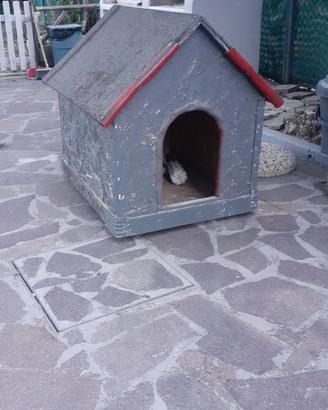 Cuccia coibentata per cane taglia medio/grande