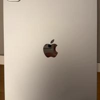 iPad Pro M5 -256gb wifi - argento