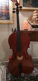   Violoncello acustico