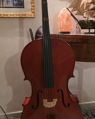   Violoncello acustico