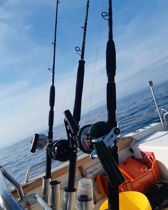 alutecnos gorilla 20 xzoga belvedere