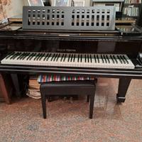 Pianoforte a coda
