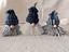 Immagine 5