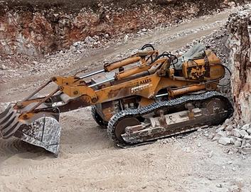 Pala cingolata fl 10 B