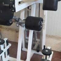 TECHNOGYM STANDING GLUTEUS