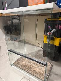 Teca terrario in vetro