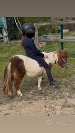 Minipony
