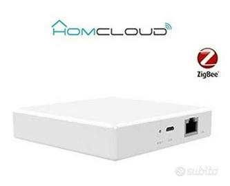 centralina Zegbee e  5 sensori temperatura 