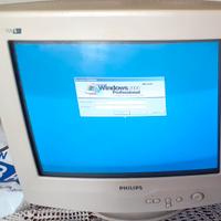 Monitor tubo catodico Philips 105S da 15"