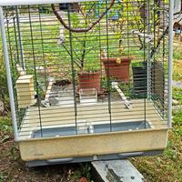 Voliera Ferplast per parrocchetti e calopsite