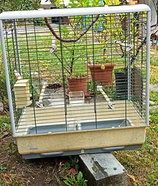 Voliera Ferplast per parrocchetti e calopsite