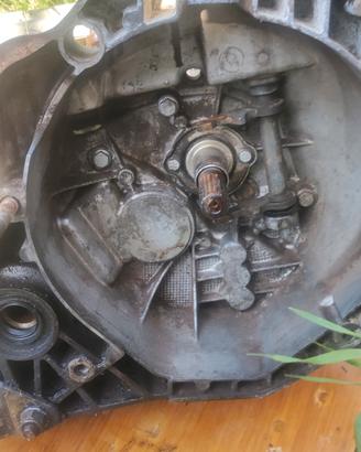 cambio manuale fiat Multijet 