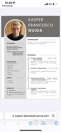 Barmanager / Bartender