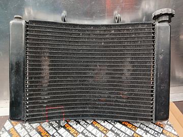 Radiatore Triumph Street Triple