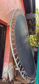 Trampolino elastico
