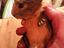 Immagine 4