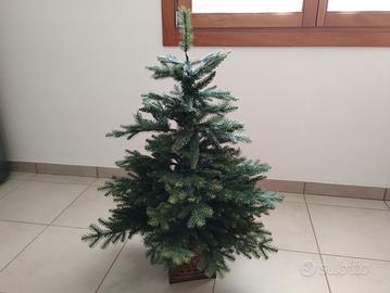 Albero di Natale con luci