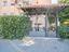 Immagine 25