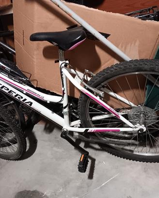 Bicicletta 