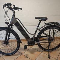 Bici bicicletta elettrica ebaike 