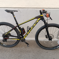 Olympia evo carbon
