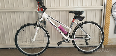 Mtb bottecchia fx500 rosa 26
