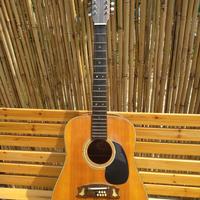 Chitarra Boeing WT-500 12 corde 