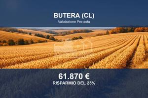 Immobile in asta di 25252 m² a Butera
