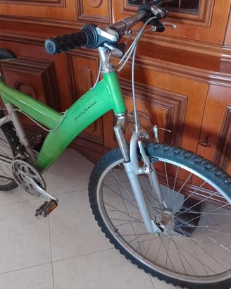 Bicicletta Mountain bike Pininfarina