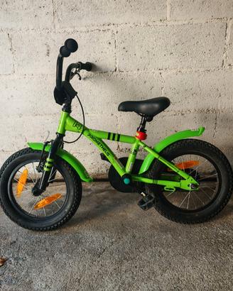 bicicletta 14 