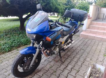 TDM 850