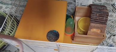 Gabbietta e trasportino per criceto o porcellino i