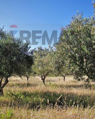 Terreno - Ramacca