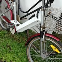 bici elettrica da donna 
