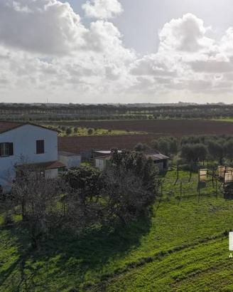 Rustico / Casale di 150 m² con più di 5 locali a C