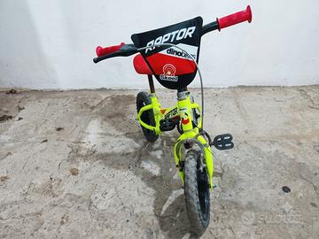 bicicletta 