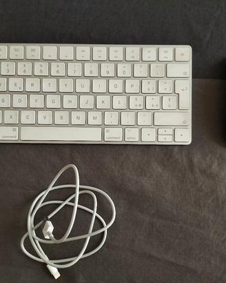 Apple Magic Mouse e Magic Keyboard 