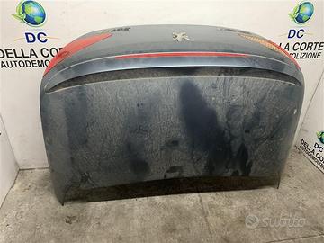 PORTELLONE POSTERIORE COMPLETO PEUGEOT 307 Cabrio