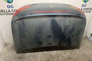 PORTELLONE POSTERIORE COMPLETO PEUGEOT 307 Cabrio