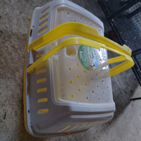 Trasportino conigli cavie